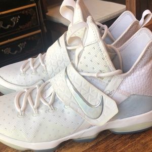 Lebron James basketball shoes